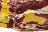 Polished Mookaite Jasper Slab - Australia #258189-1